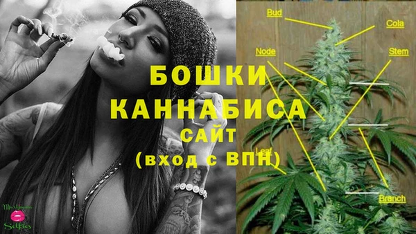 2c-b Верхний Тагил