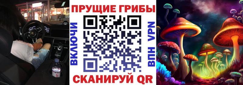 дарнет шоп  Первомайск  Галлюциногенные грибы Psilocybine cubensis 